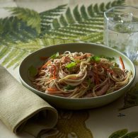 Soba Noodle Hero