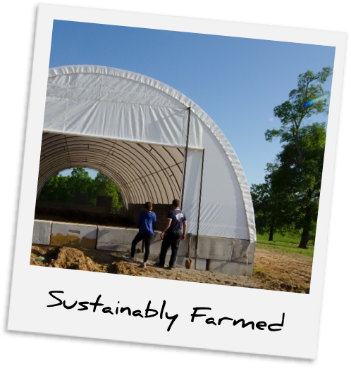 Sustainably Farmed